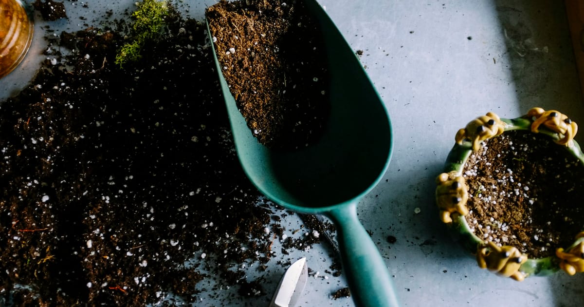 The Raised-Bed Reset: Fix Tired Soil Without Replacing Everything