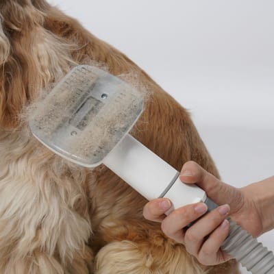 Your Dog Doesn’t Hate Grooming: Your Routine Is Too Fast