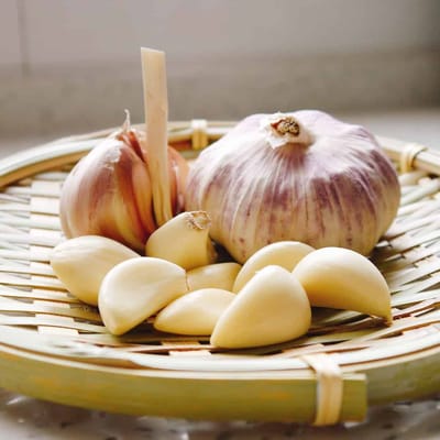 How to plant and grow garlic at home