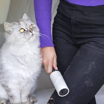 Great gadgets to use for cleaning up hair at home