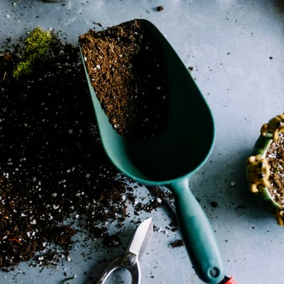 The Raised-Bed Reset: Fix Tired Soil Without Replacing Everything